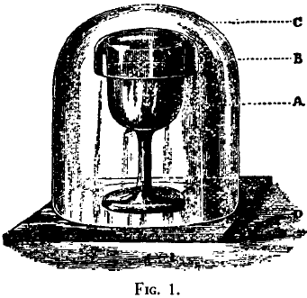 Illustration of Lister's arrangement of glass covers for his sterilized-milk-filled glasses.