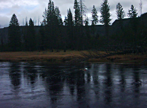 sampling water from the Madison river