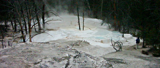 Overview of Narrow Gauge Spring