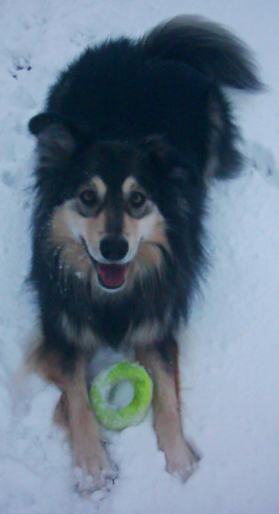 Cornelia - Queen of the Snow!