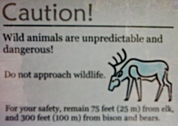 Sign: Caution - Wild Animals are Unpredictable and Dangerous!